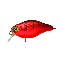 Bewertung von Albert für das Produkt Chubby 38 | Floating Red Craw
