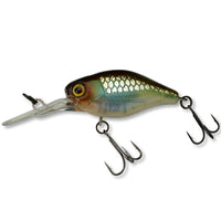 Bewertung von Albert für das Produkt Diving Chubby 38 (Floating) HS Ghost Minnow