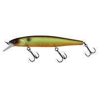 Bewertung von Ole für das Produkt Mag Squad 128 SP Muddy Roach