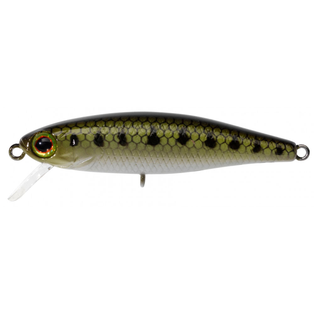 Leurre Jackall IllexTiny Fry 50 SP - 20% en promo à partir de 15.96€ New25 Leurre Jackall IllexTiny Fry 50 SP - 20% en promo à partir de 15.96€ New25