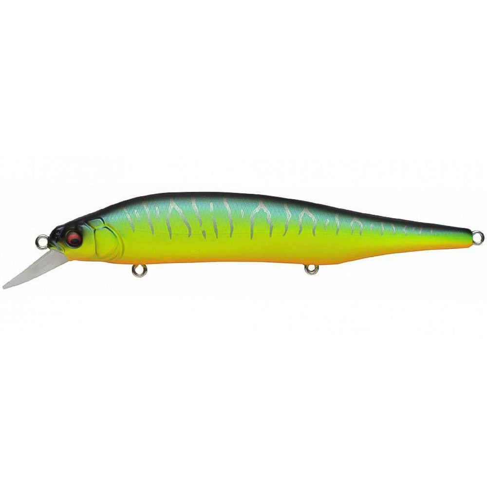 Megabass Ito Shiner Mat Tiger