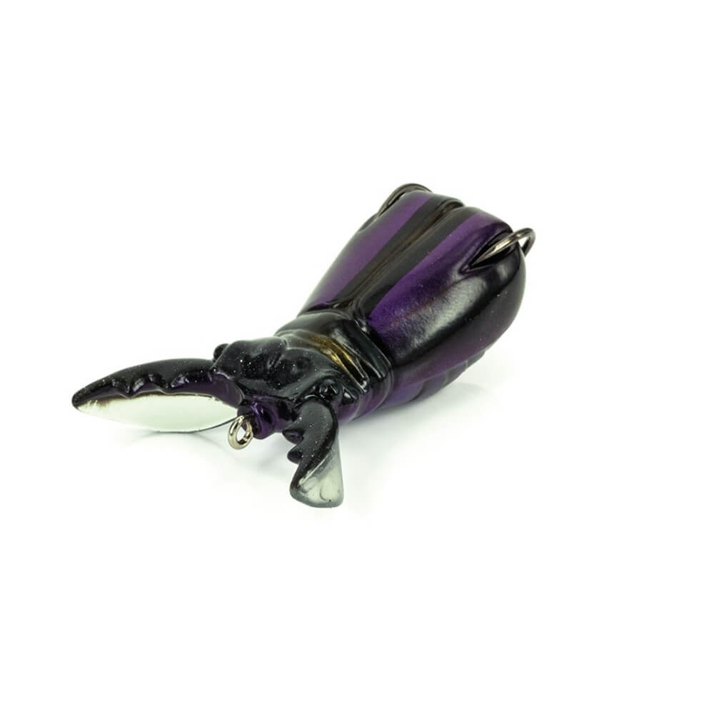 Molix Supernato Beetle Baby Black Scrabble