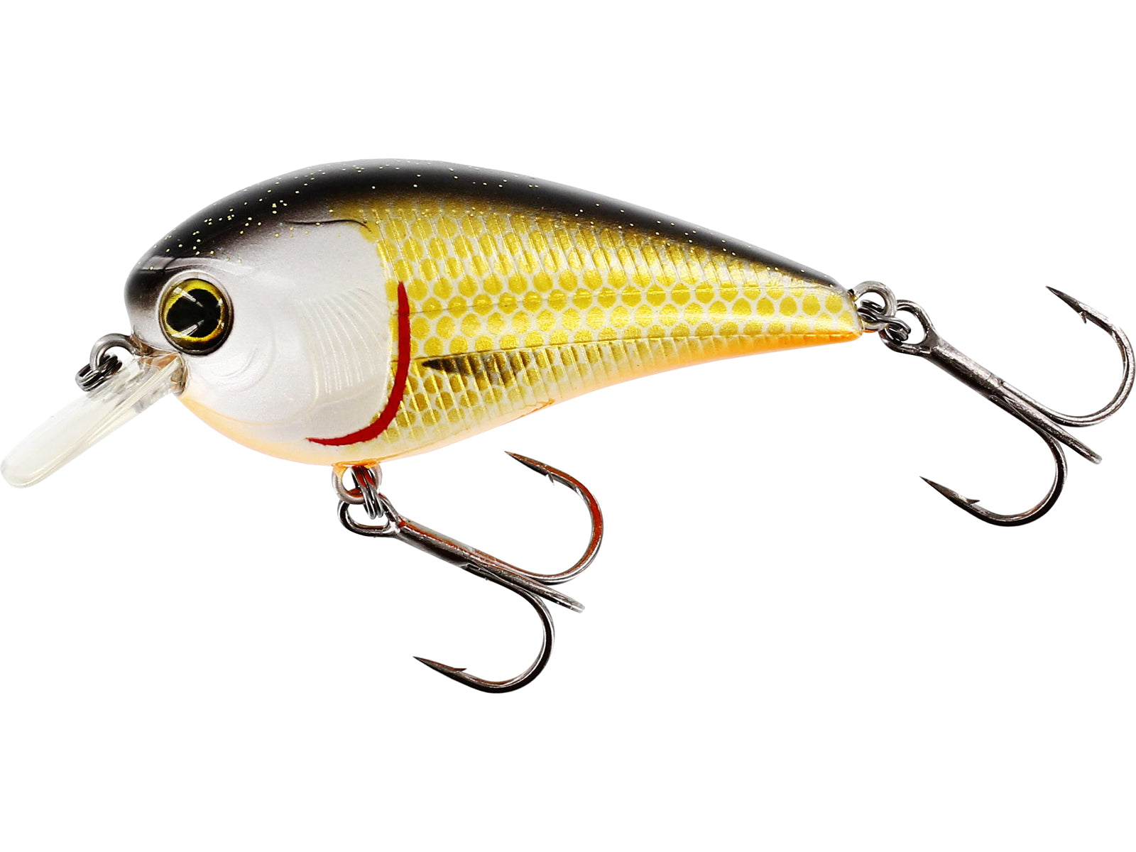 Westin BassBite Squarebill 6 cm 13 g Official Roach