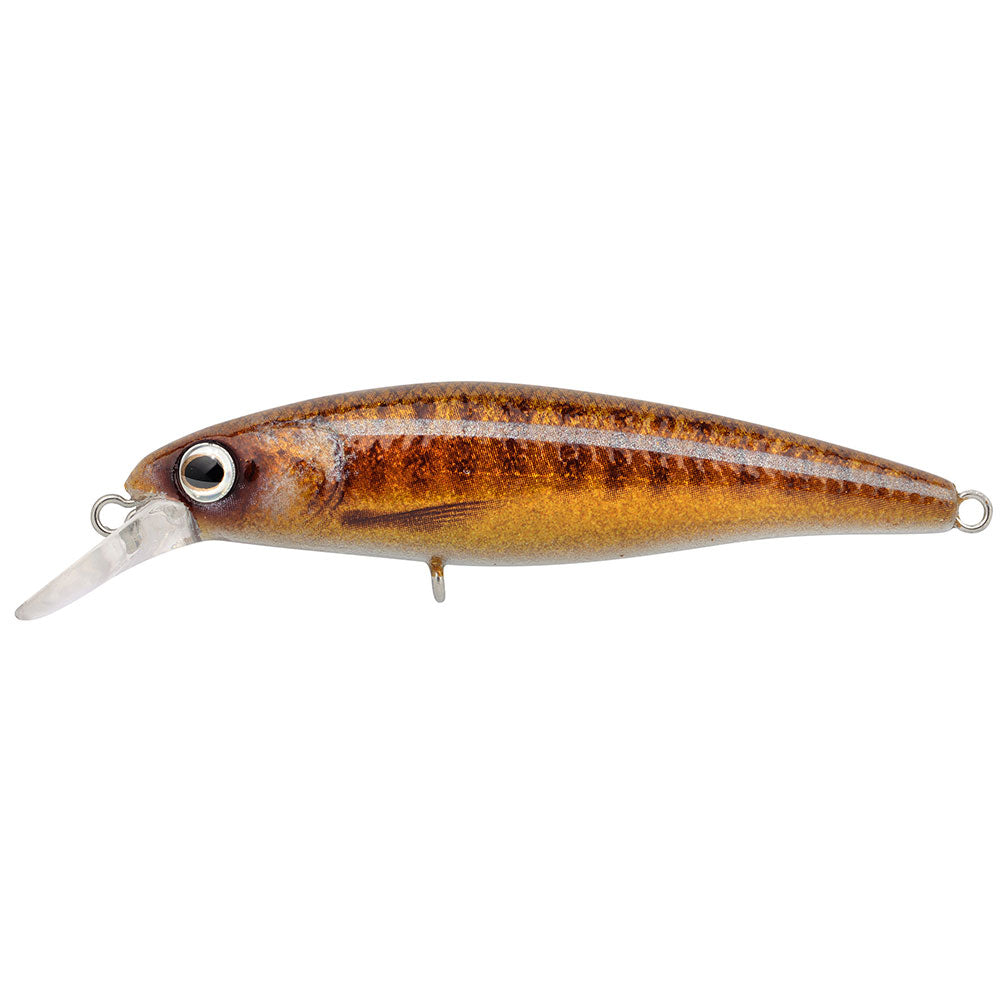 SPRO Ikiru Silent Jerk SLS 65 Varion