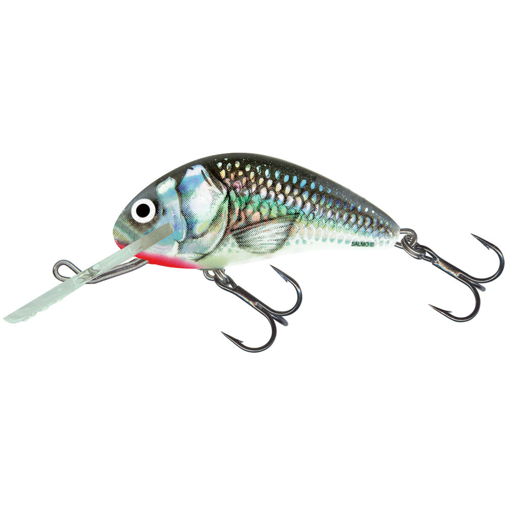 Salmo Hornet 4 cm Floating Holographic Grey Shiner