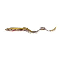 Savage Gear Real Eel » HechtundBarsch.de