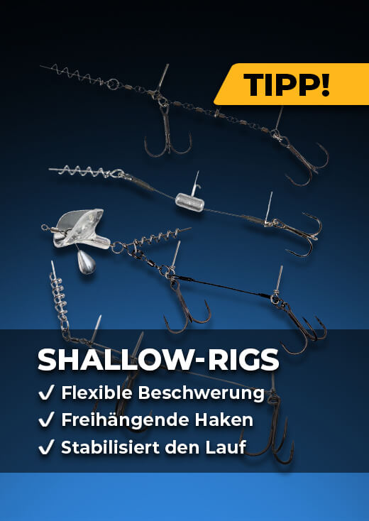 Shallow-Rigs