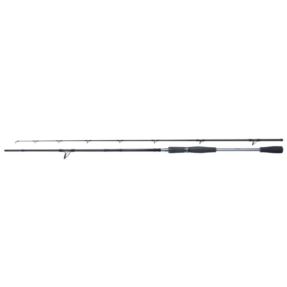 Shimano Yasei Pike Spinning YASAXPI25XH 250 cm 40 120 g zweiteilig