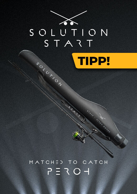 Solution-START-Perch-Promotion-Block