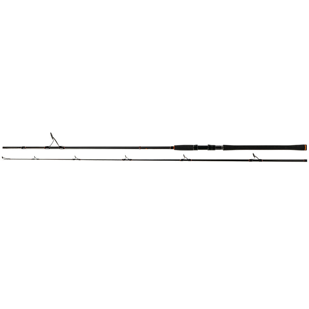 Zeck Big Stick 250 cm 40 150 g