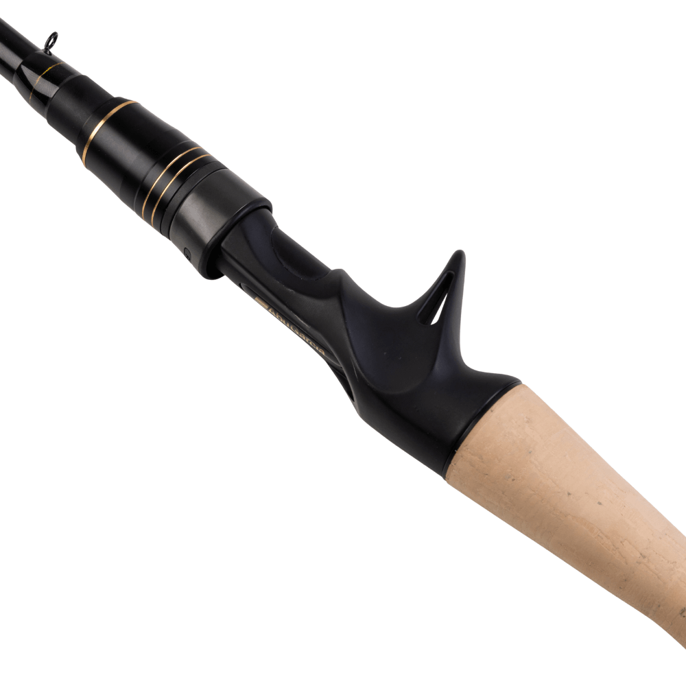 Abu Garcia RockSweeper BC