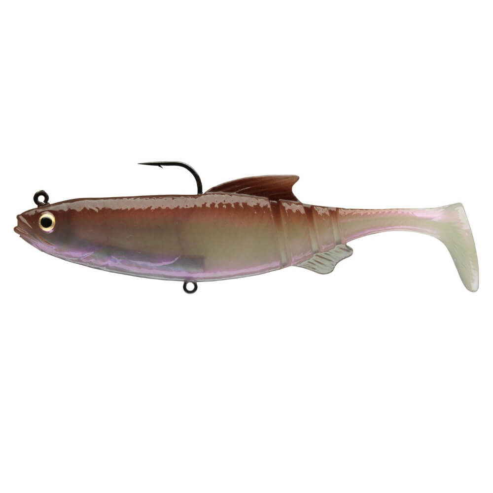 Daiwa Prorex Lazy Roach RD WAK