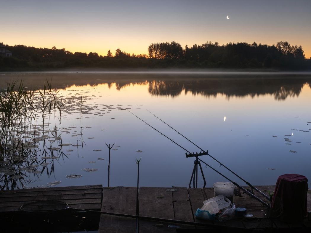Deadbait Ruten