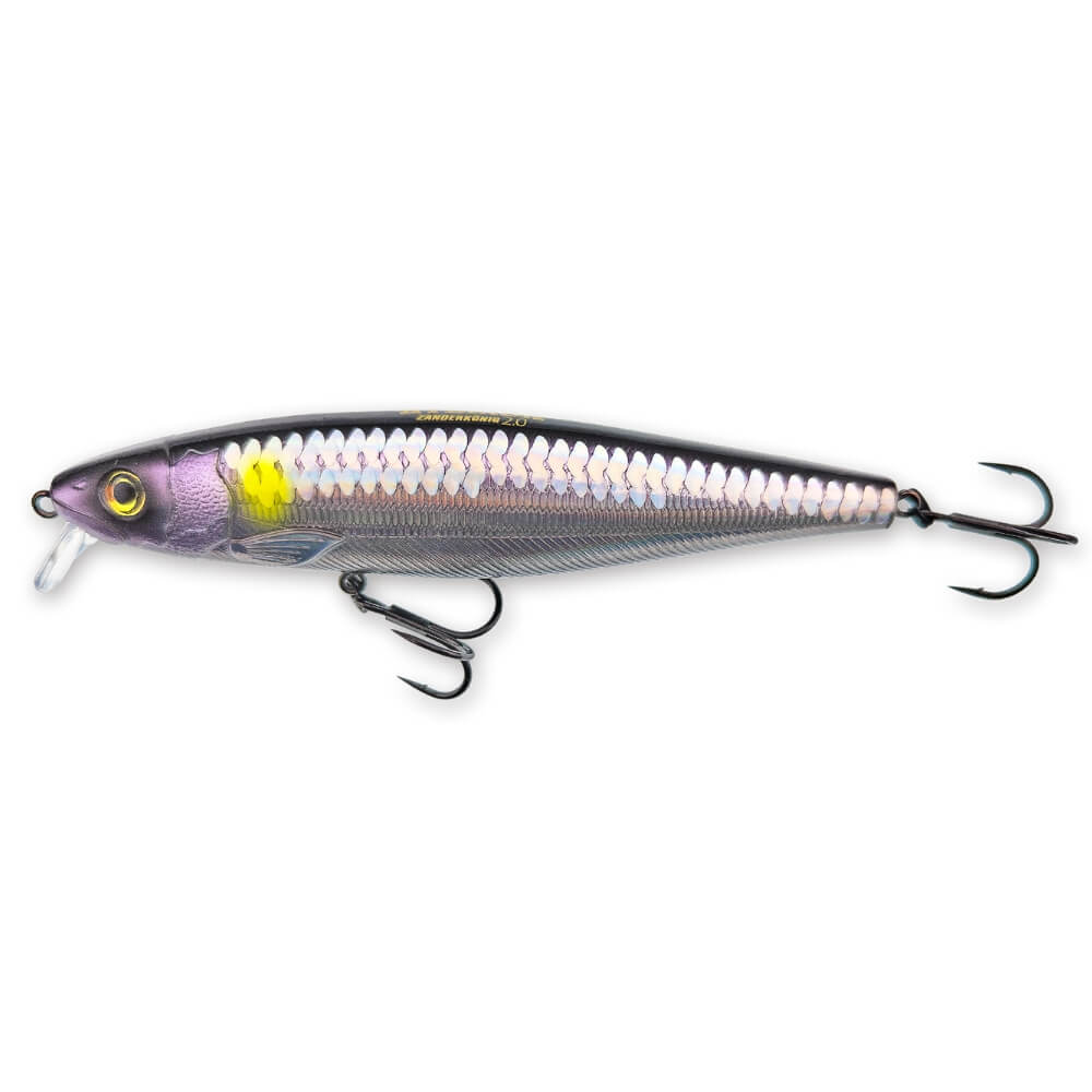 Hybrida Lures Zanderkönig 2.0 Black & Purple