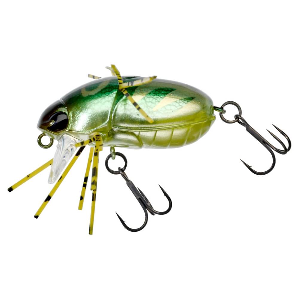 Jackall Chubby Bug 35 HL Cockroach