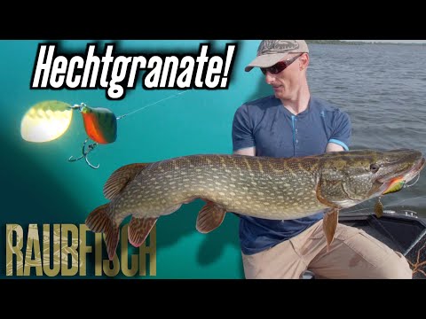 Hechtgranate Raubfisch Edition Video