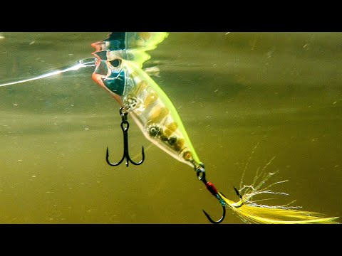 How to use the DUO Realis Popper 64 Video