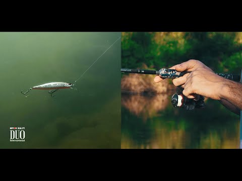 Realis Jerkbait 100SP How To - Video