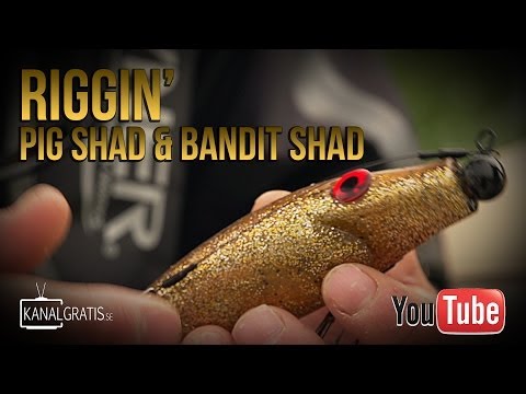 How to rig Pig Shad & Bandit Shad - Video