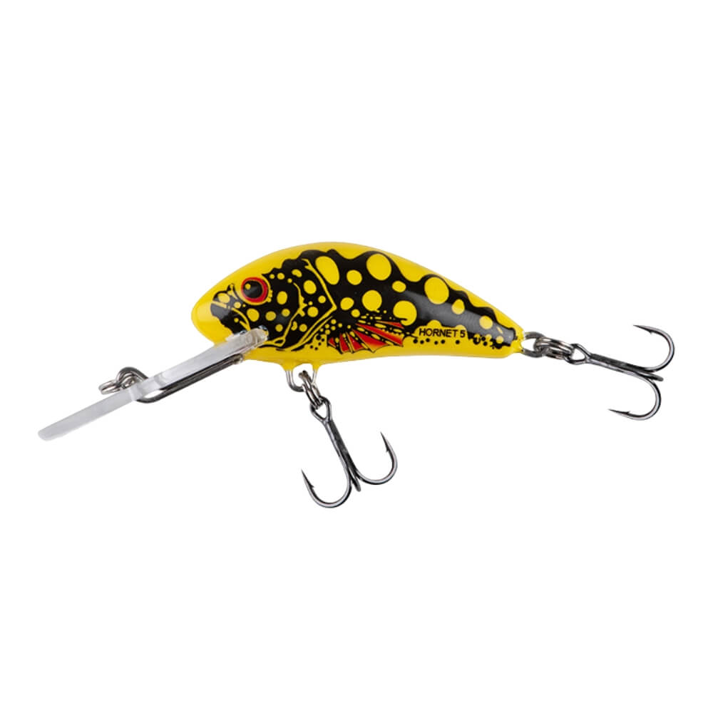 Salmo Hornet Beetle
