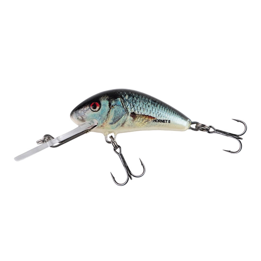 Salmo Hornet Real Dace