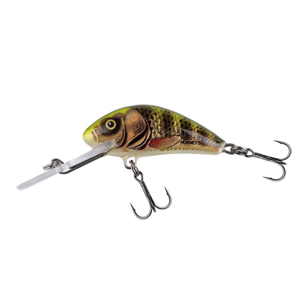 Salmo Hornet Real Identify Perch