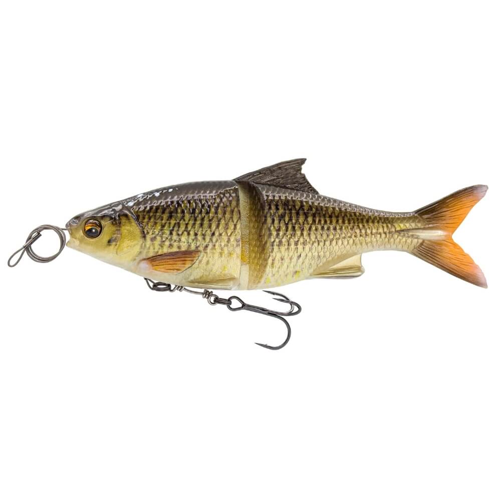 savage gear 3d Savage Gear 3D Glide Roach » HechtundBarsch.de