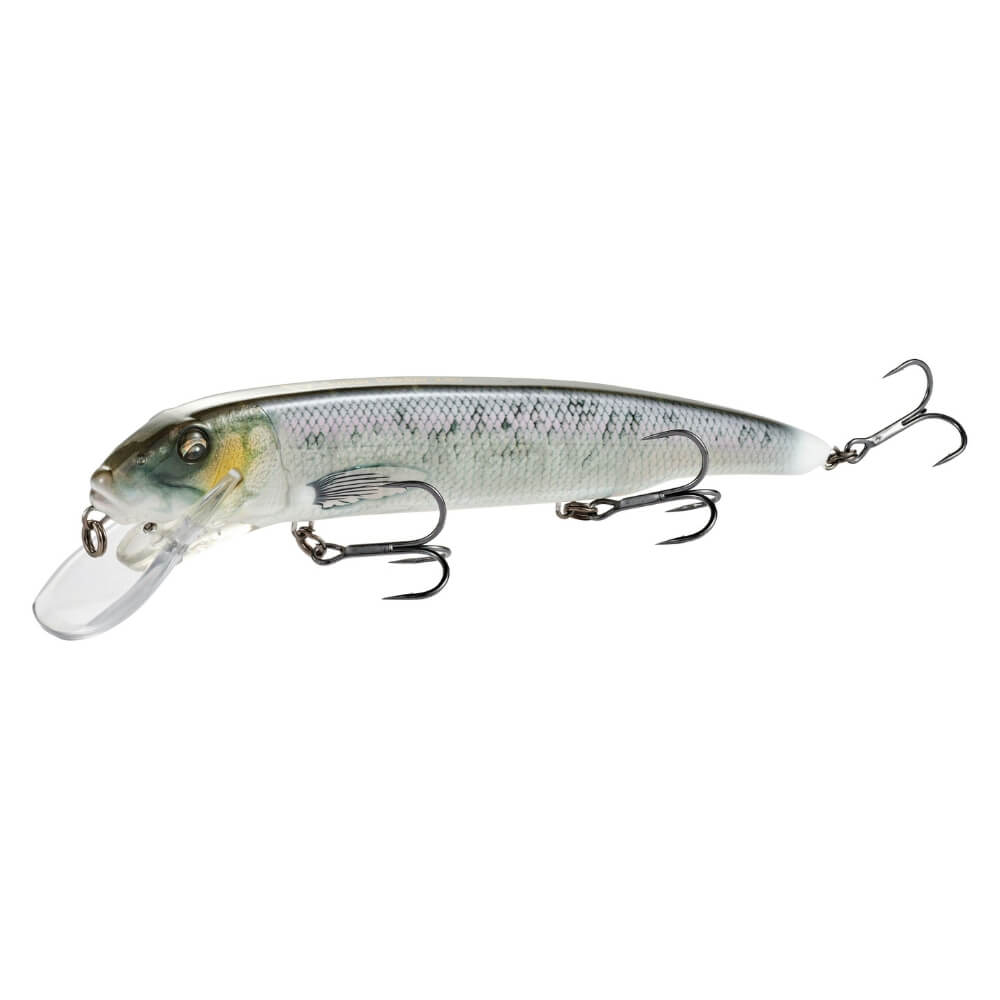Savage Gear Sucker Flanker 25 cm Cisco Glitter