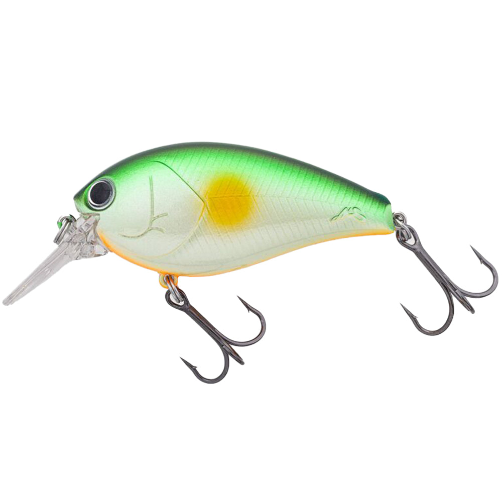 Nories Shot Omega Big 62 15 g Lime Ayu Orange Belly