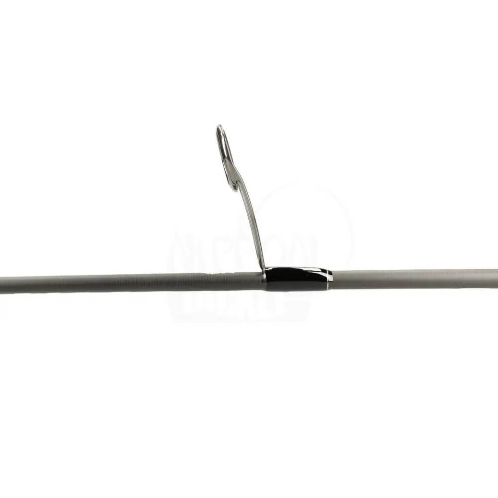 Tailwalk Fullrange Spinning Startring