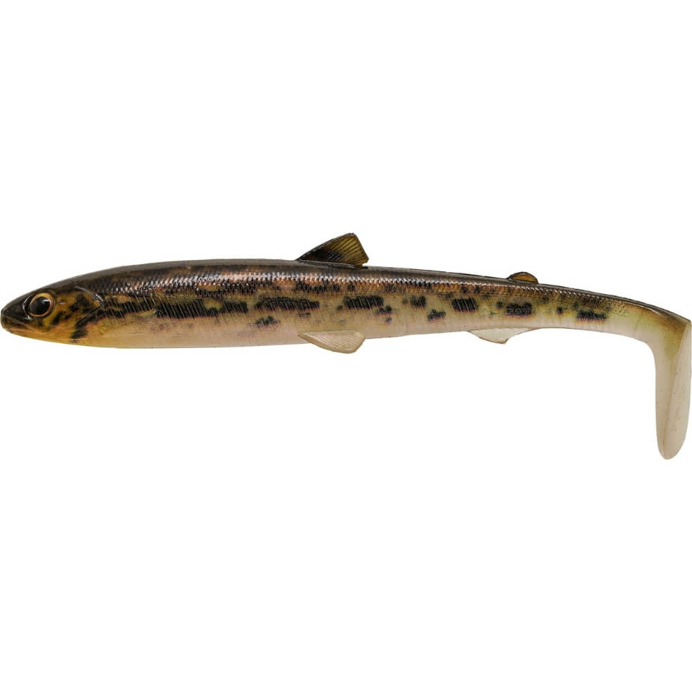 Westin Gift Box Toon Van Hams Favorites BullTeez Headlight Goby