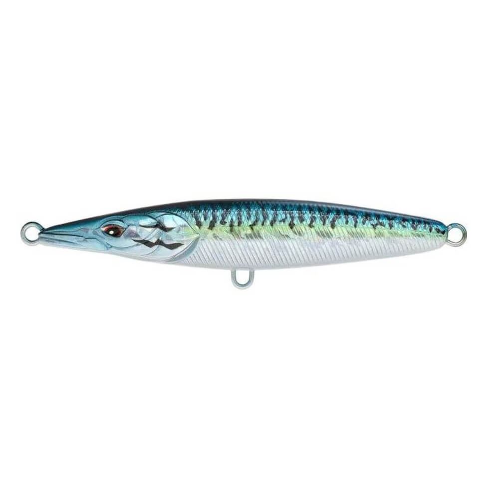 Xorus Asturie Blue Mackerel
