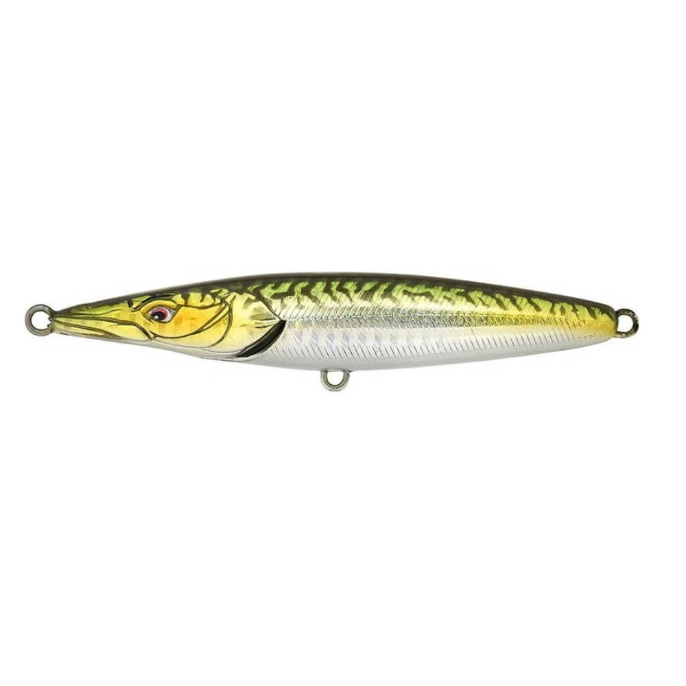 Xorus Asturie Mackerel