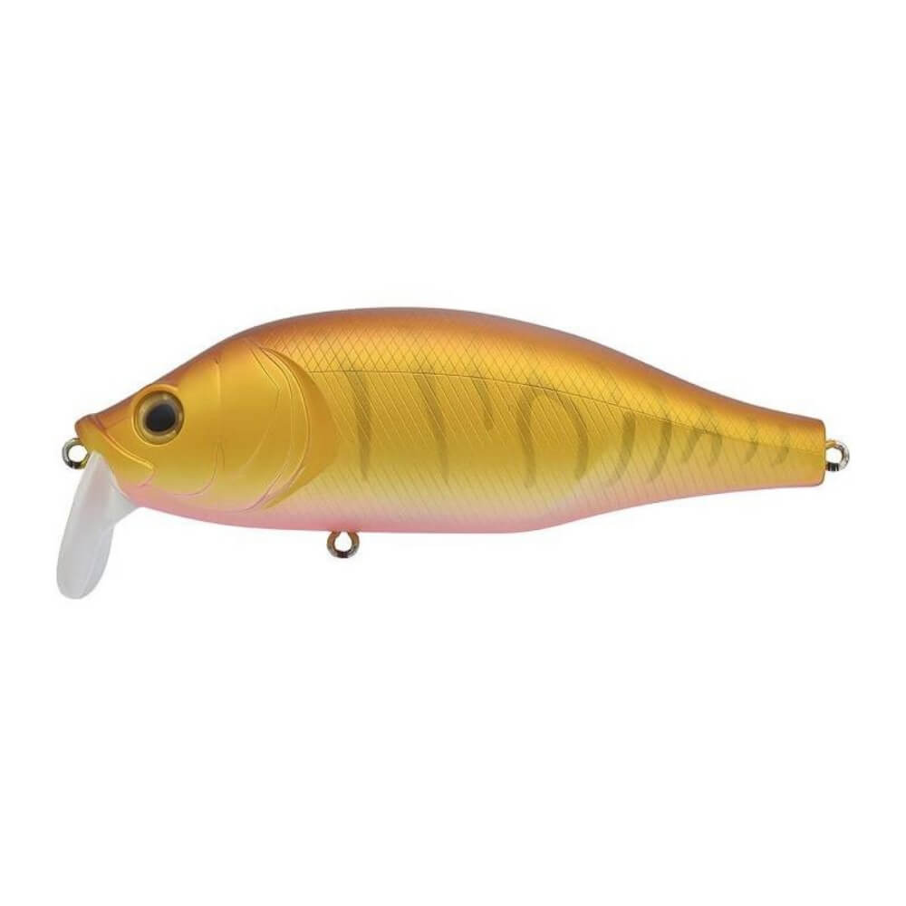 Xorus Dango 120 SR Mat Albino