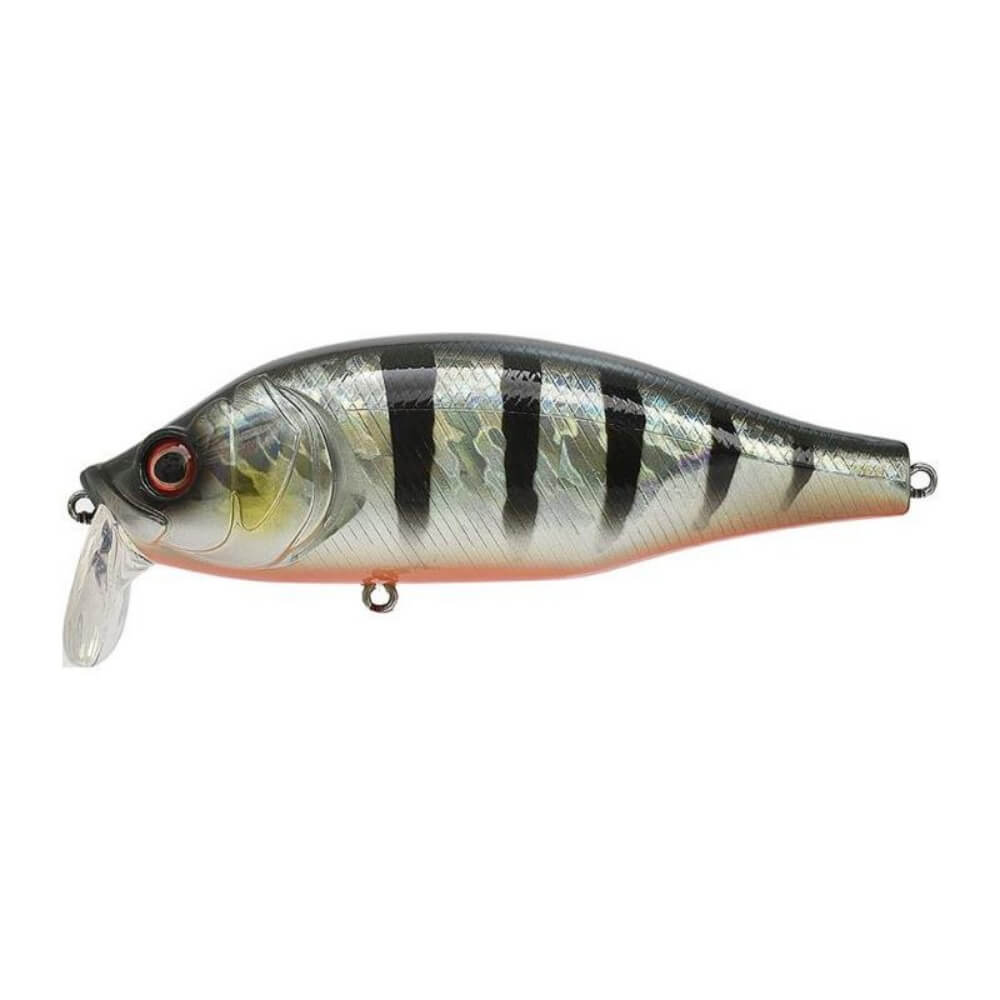 Xorus Dango 120 SR Red Fin Perch