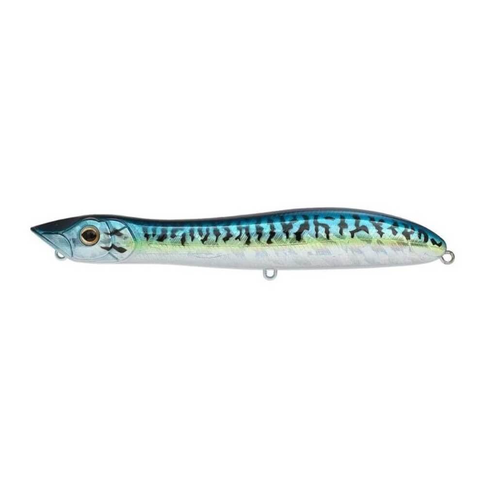 Xorus Patchinko Blue Mackerel