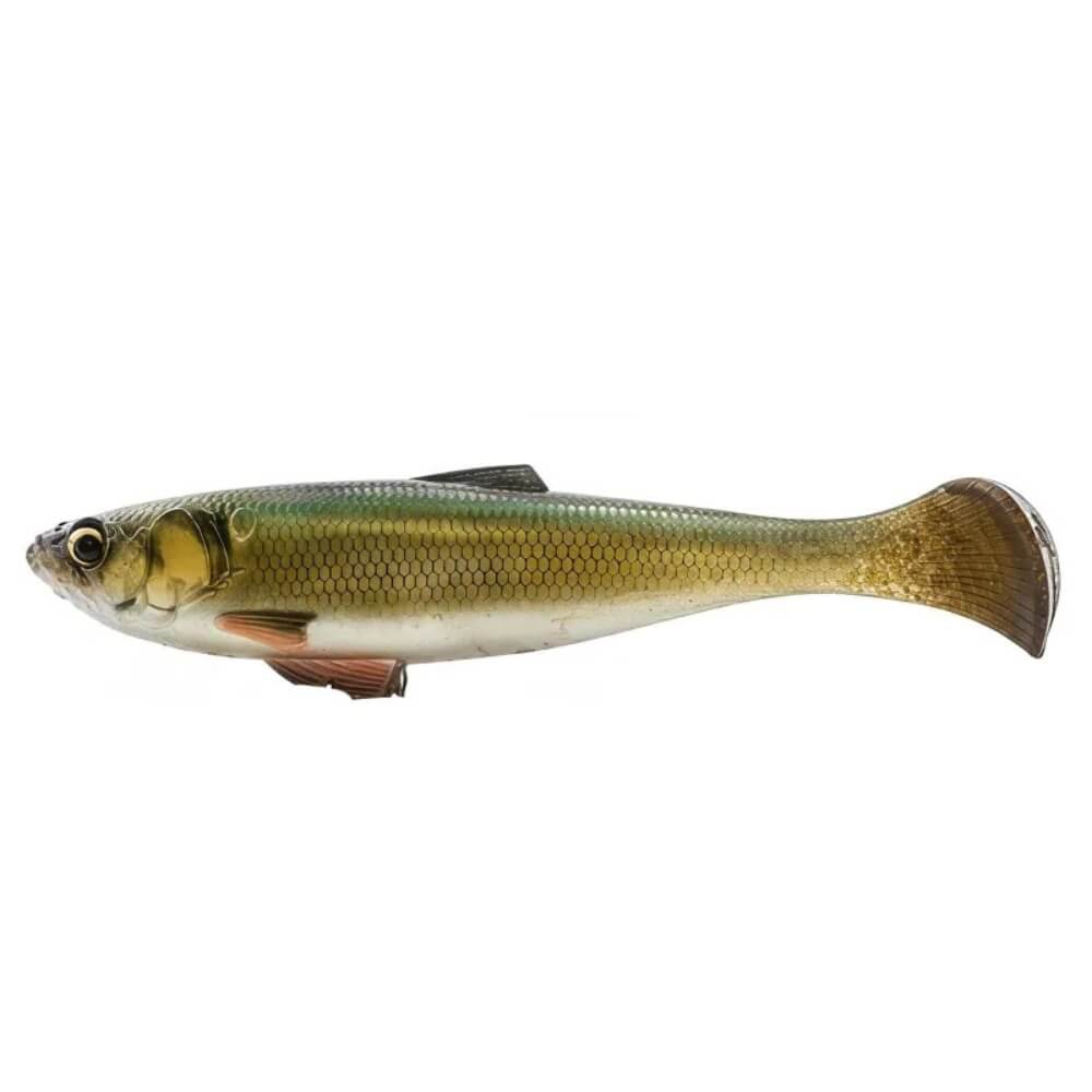 Z-Man Swag LT Golden Shiner