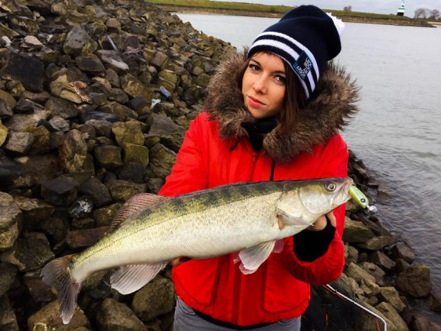 sarah-perch-monkey-lures