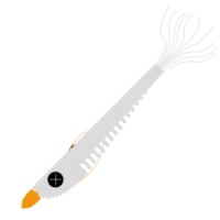 Carolina und Texas Rig